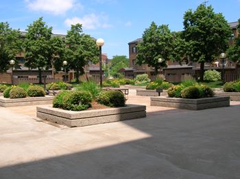 Central courtyard for resident use